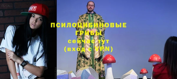 гидра Алексин