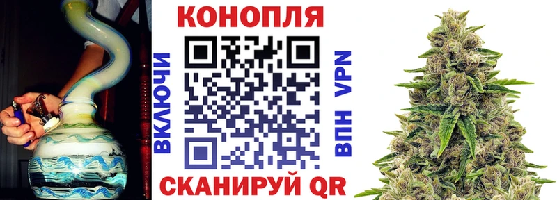 Бошки Шишки Amnesia Чишмы